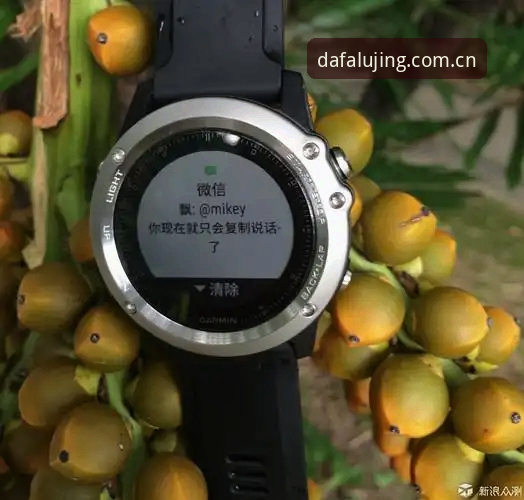 大发平台v2.1.3深度评测：从入口到赛事数据更新的全面体验报告